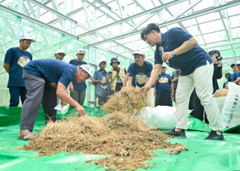 Dorong Kemandirian Petani, Pupuk Kaltim Hadirkan Program PAK TANI di Marangkayu