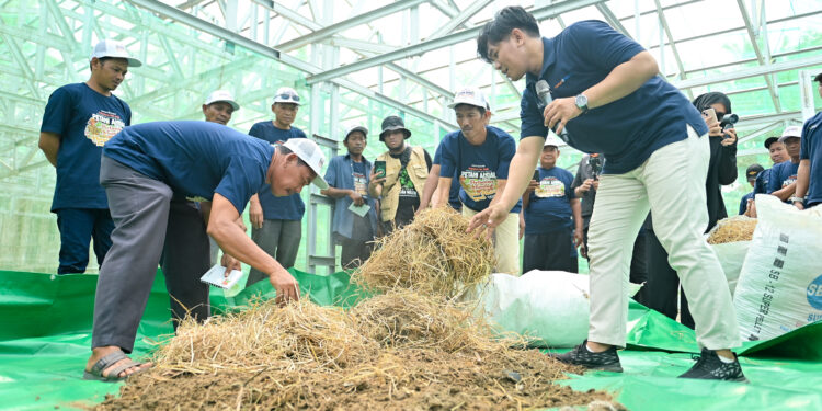 Dorong Kemandirian Petani, Pupuk Kaltim Hadirkan Program PAK TANI di Marangkayu