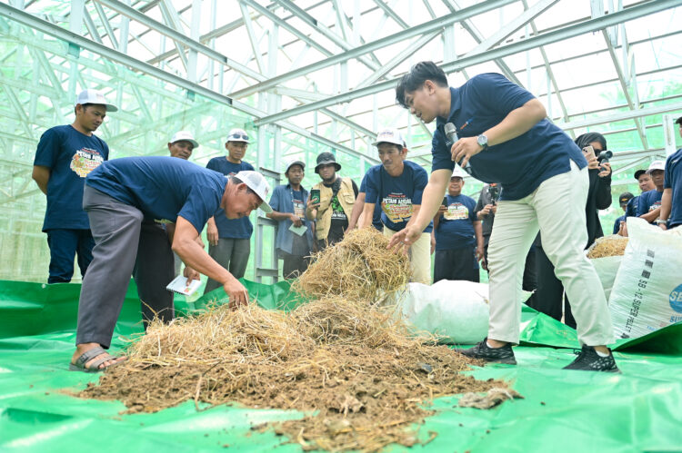 Dorong Kemandirian Petani, Pupuk Kaltim Hadirkan Program PAK TANI di Marangkayu